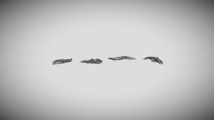 Lying_Rags 3D Model