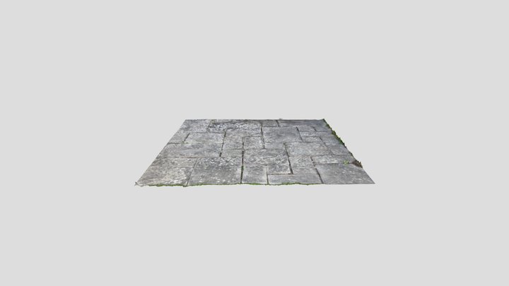 Moss Stained Concrete Floor 3D Model