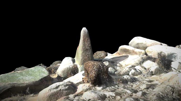 Posible Saywa - Cerro Los Infieles 3D Model