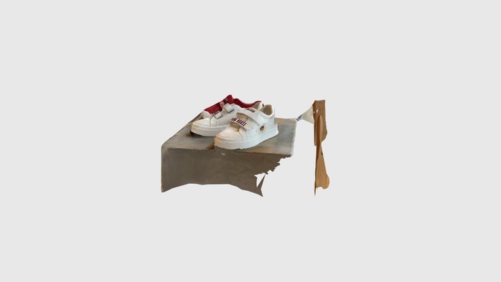 shose white 3D Model