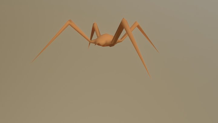 Insect 3D Model