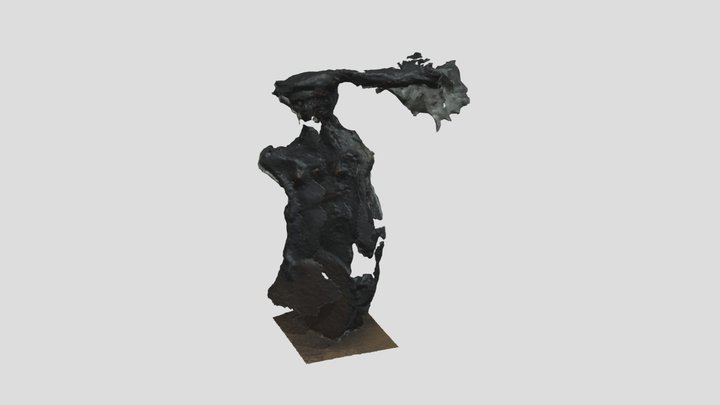 Acollidora 3D Model