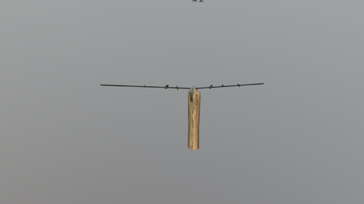 Loica / Loica on a Wired
