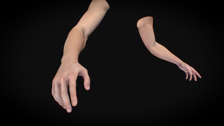 Male Hand Rigged - Human Anatomy 3D Model