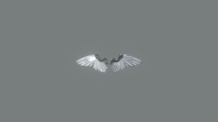 Angel Wings 3D Model