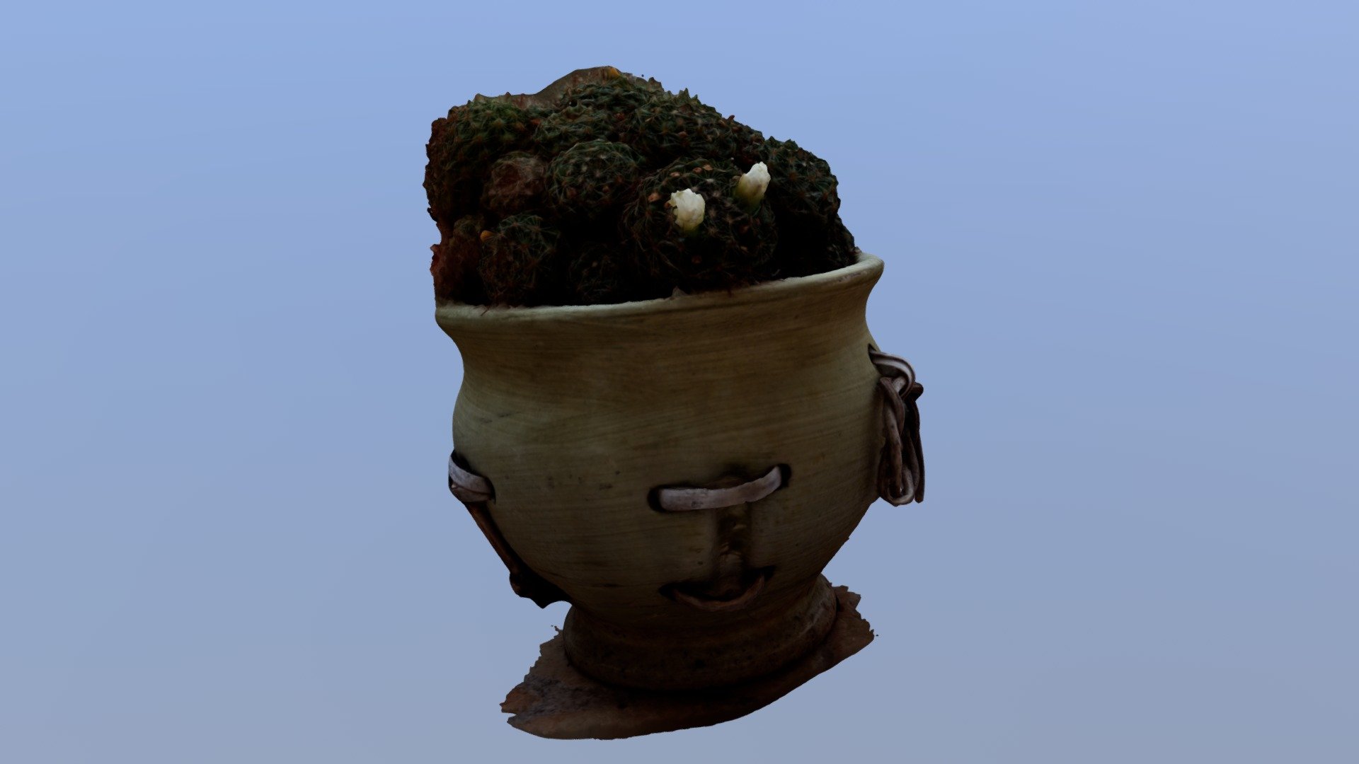Photogrammetry - Cactus Scan