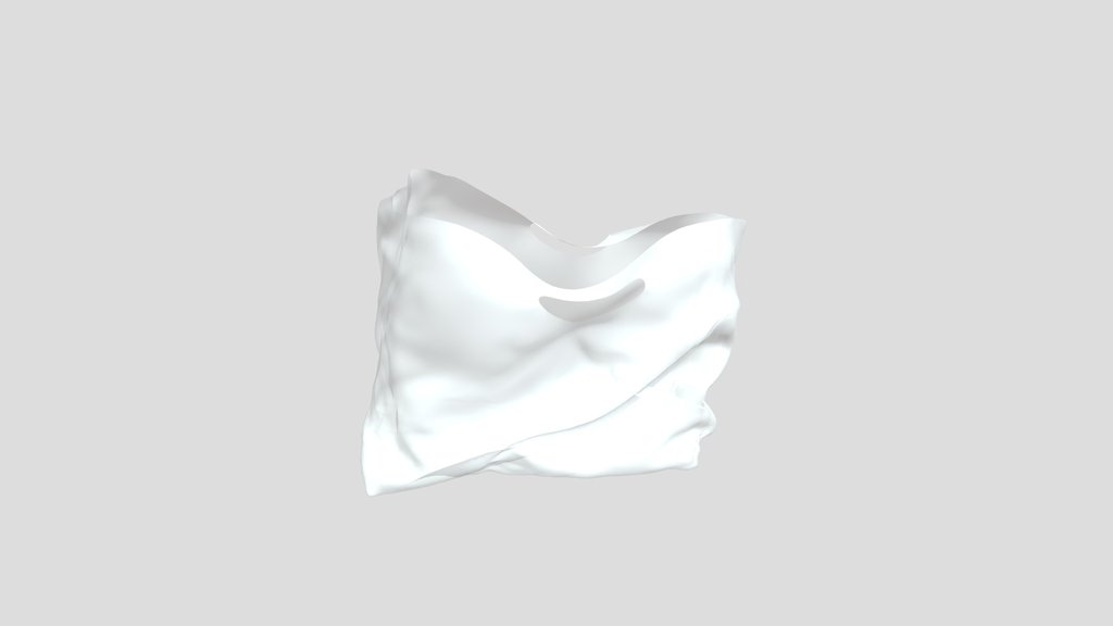Plastic Bag
