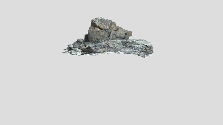 Beach Rock Scan 3D Model