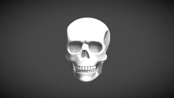 Human skull 3D Model