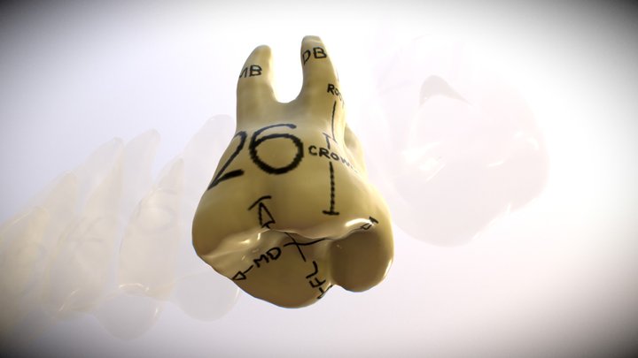 26 3D Model