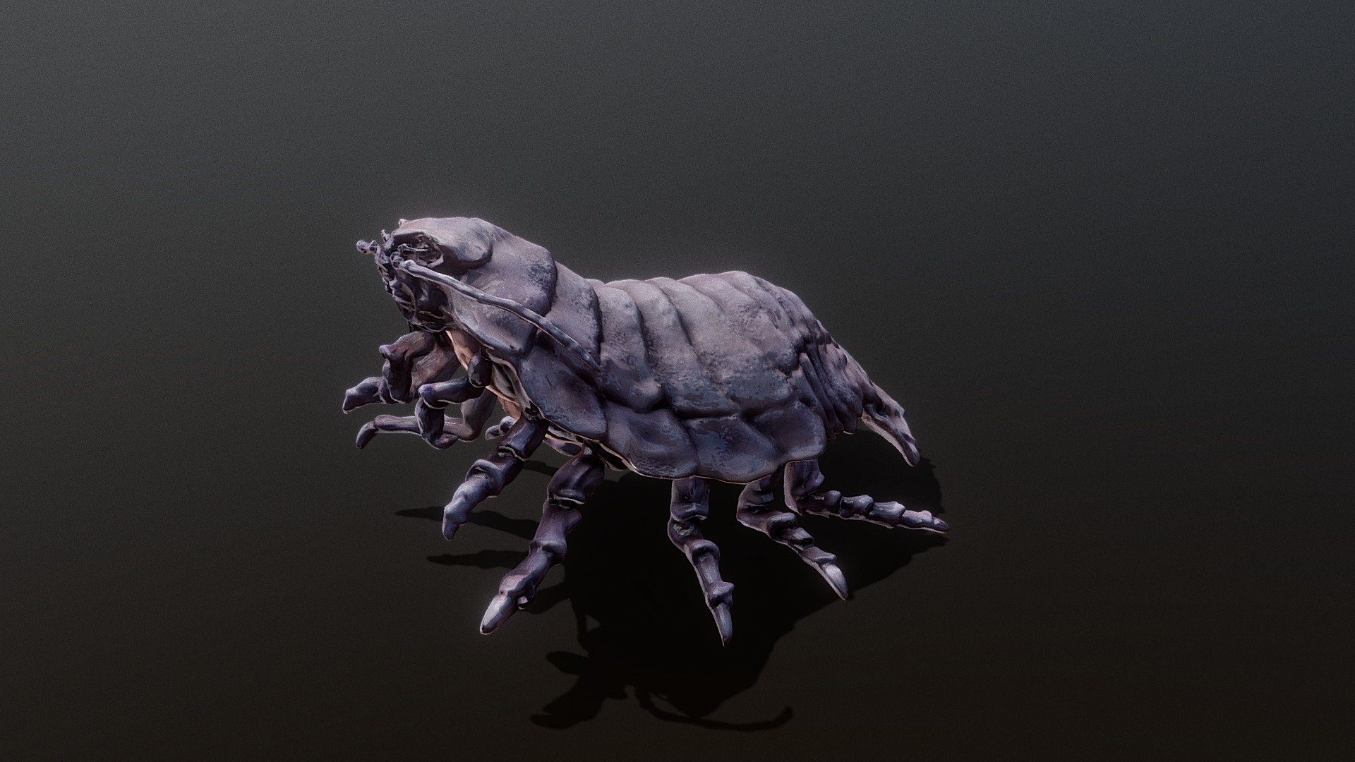 Bathynomus giganteus_2