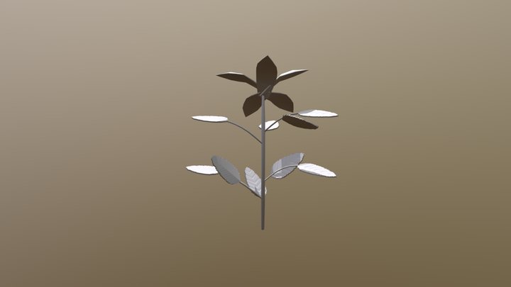 Flower 03 3D Model