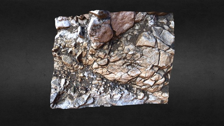 Scanned Rock Detail 3D Model