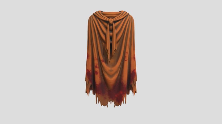 Bloodstained Shroud 3D Model