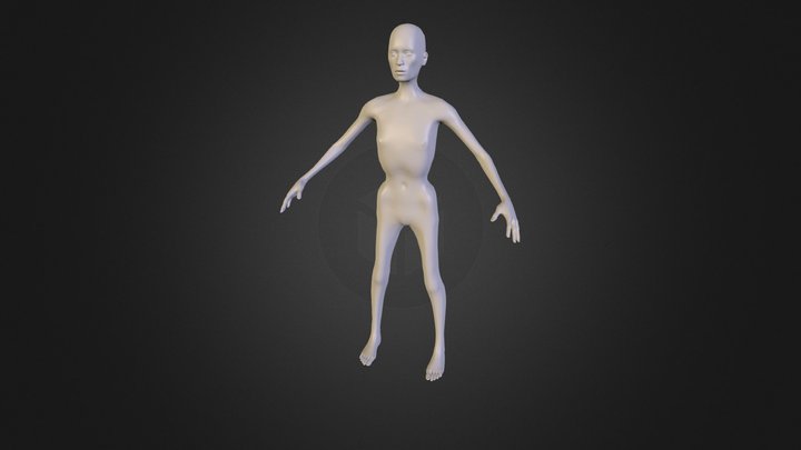 Bones 3D Model