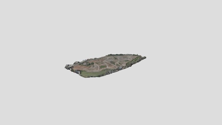 principe 3D Model