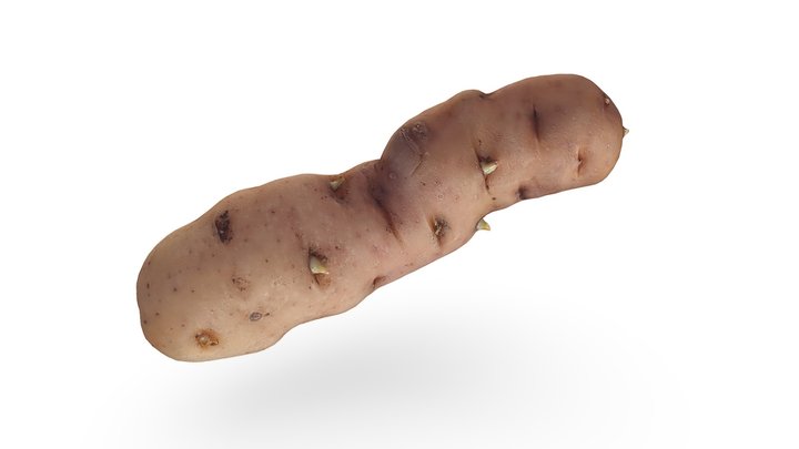 Heritage Potato Imaging 3D Model