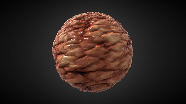 Wall of flesh 3D Model