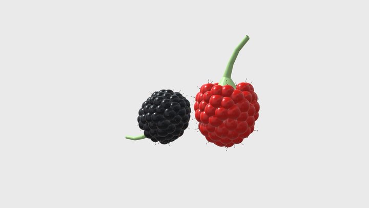 Blackberry and Raspberry