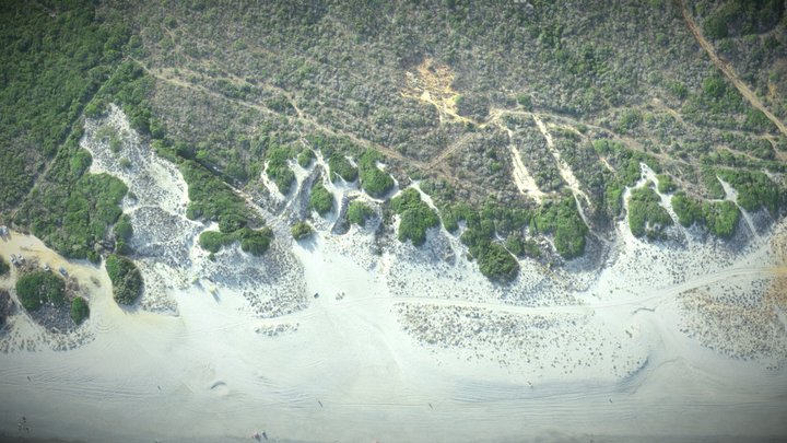 PLAYA DE GUADALQUITÓN | SAN ROQUE (CÁDIZ)