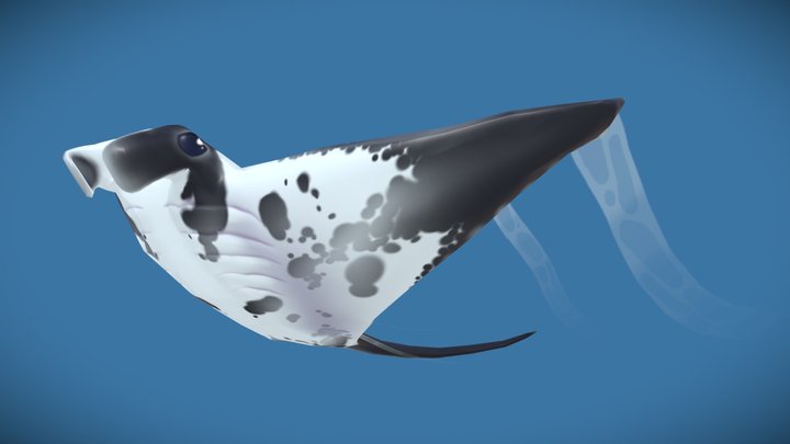 Manta 3D Model