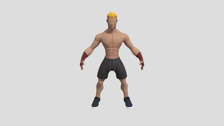 Fighter 3D Model