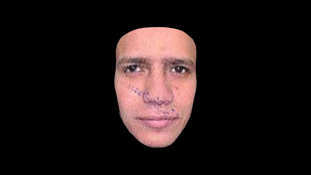 Leonardo Xavier Pereira — Sketchfab embed 3D viewer