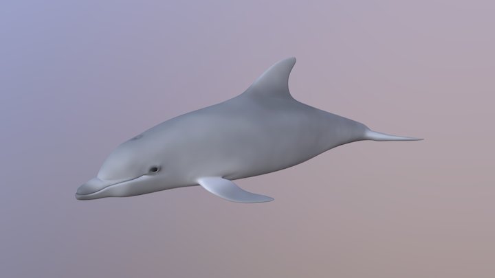 Dolphin model (with easy texture) 3D Model