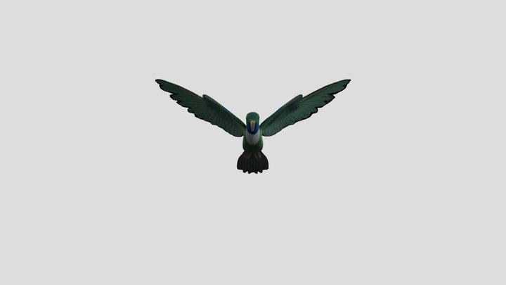 Hummingbird