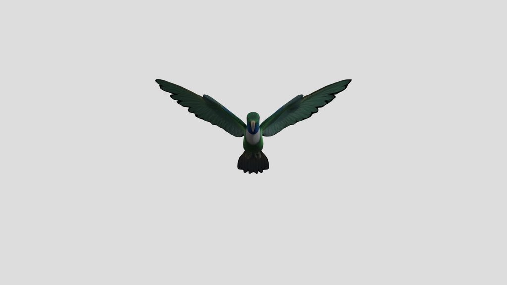 Hummingbird