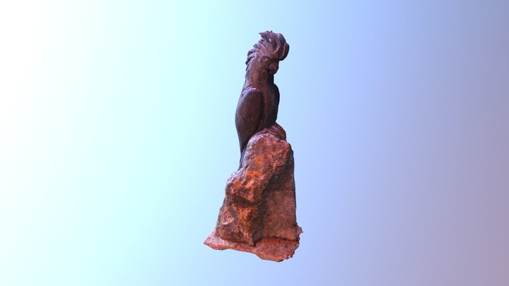Cocky 3D Model
