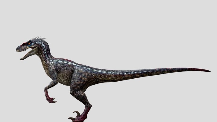 DracoWarrior's Male Velociraptor 2 – Modello 3D gratuito STL