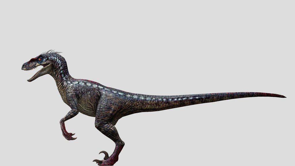 DracoWarrior's Male Velociraptor 2
