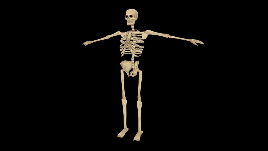 Skeleton Character PSX