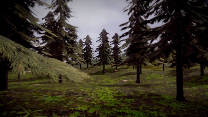Pine Forest 3D Model