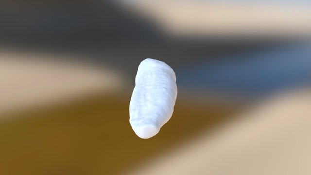 Burial 1 - Lower Right C 3D Model