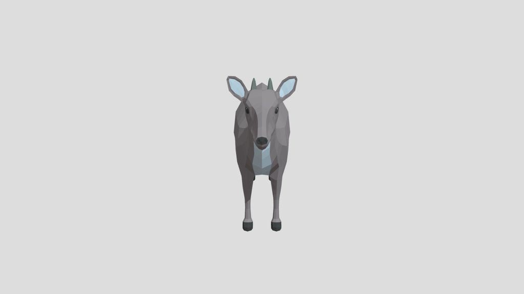Low Poly Blue Duiker