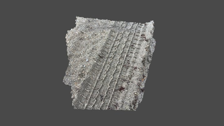 Tire tread 3D Model