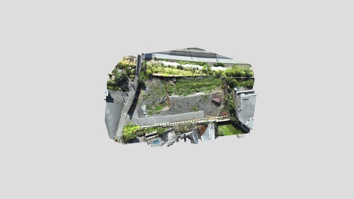 Test Okham 3D Model