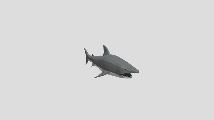 Low Poly Shark 3D Model