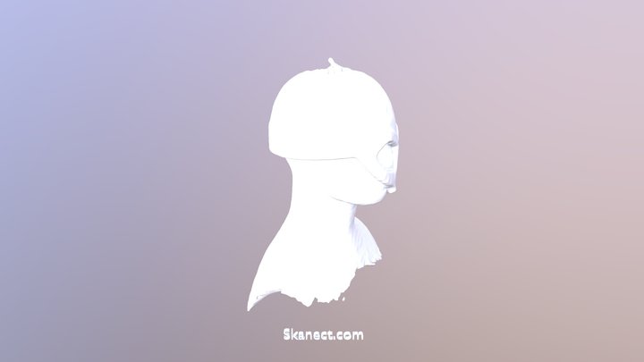 TEST 3D Model