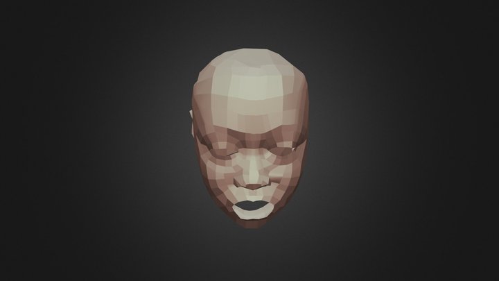 Re-topologize Face 3D Model