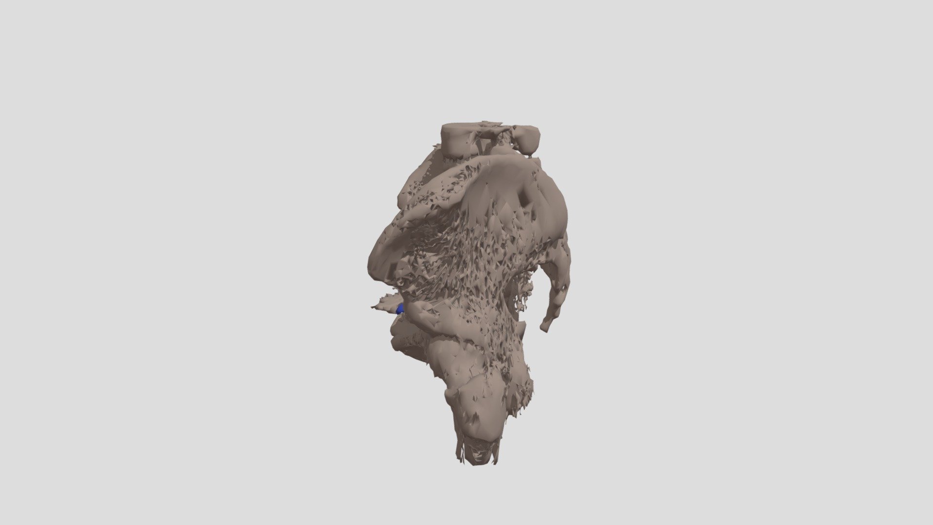 Bone And Hardware