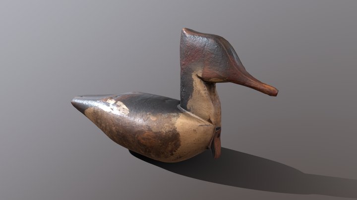 Duck Photogrammetry Scan 3D Model