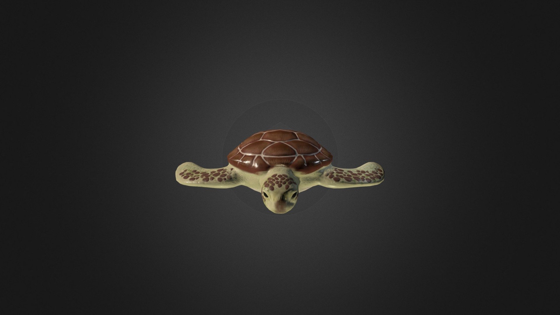 Turtle3.0