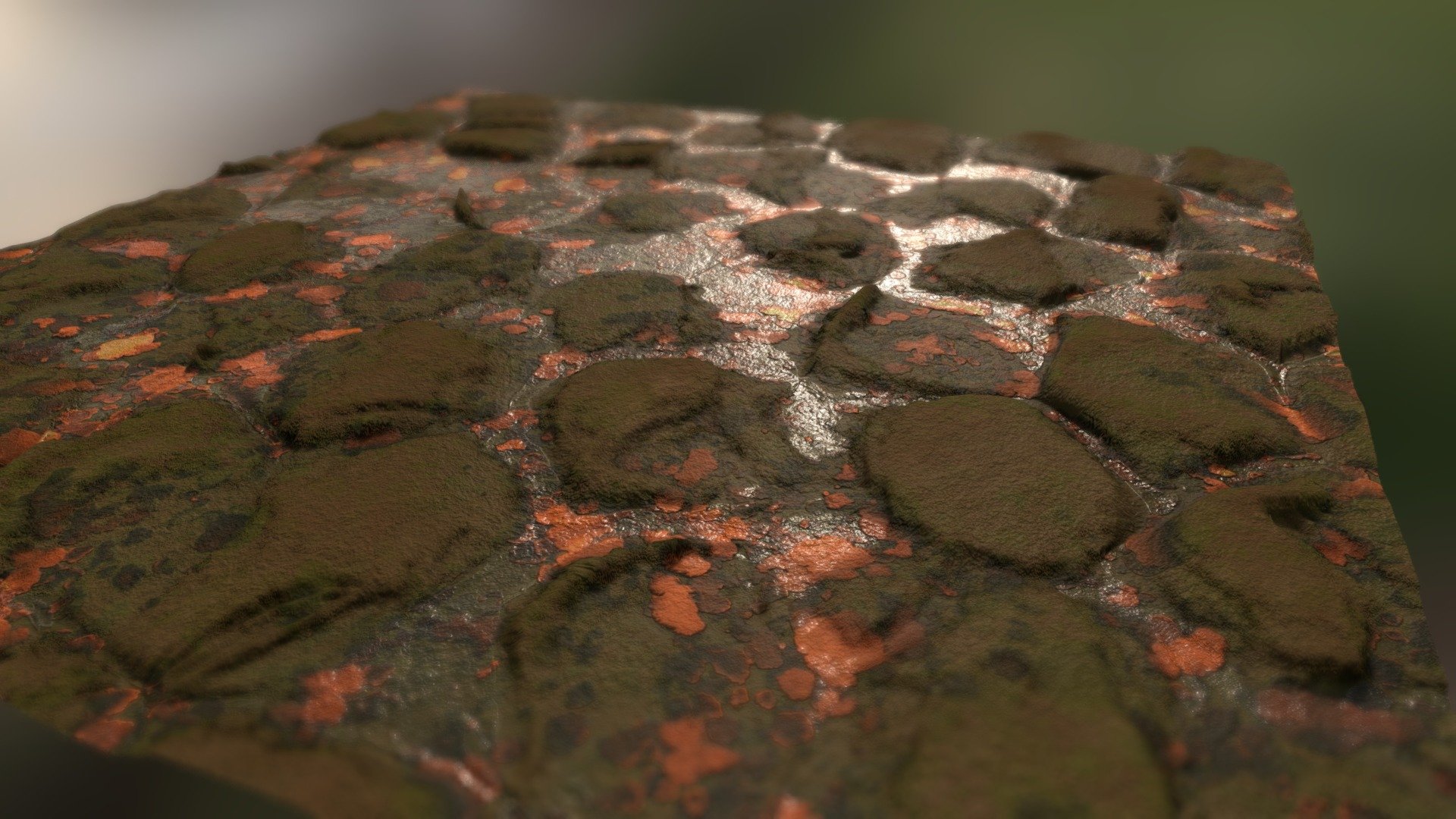 Autum Ground