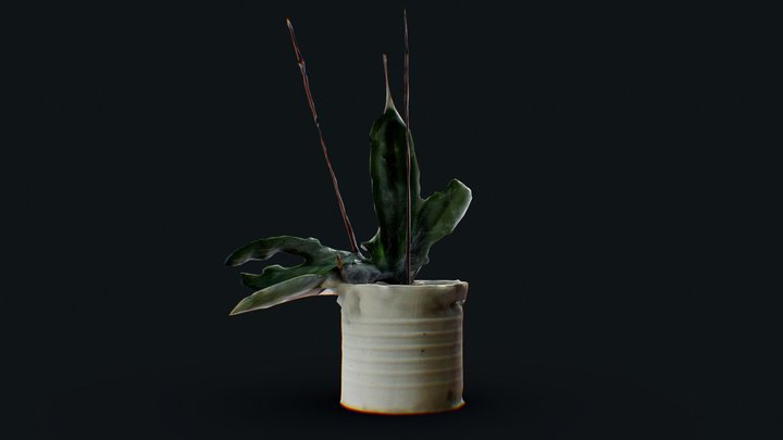 Low Poly - Flower Pot 3D Model