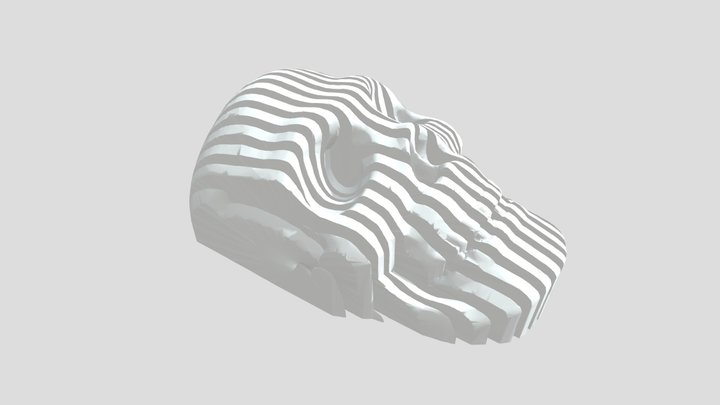 Flexi Quantum Skull 3D Model