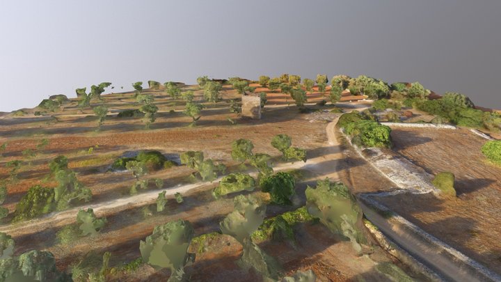 Palombara large view 3D Model