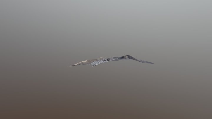 Etna Draft 3D Model